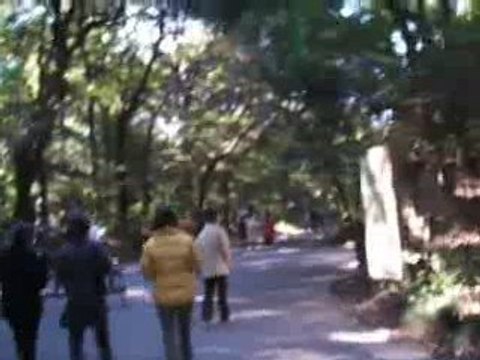 Meiji jingu 2