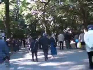 Meiji jingu 1