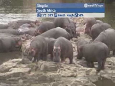 Amsterdam - Netherlands, Johannesburg - South Africa, Hong Kong SAR - China, Bandar Seri Begawan - Brunei, Singita - South Africa, Kyiv - Ukraine, Paris - France