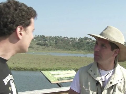 Pablo Parties: Aviary