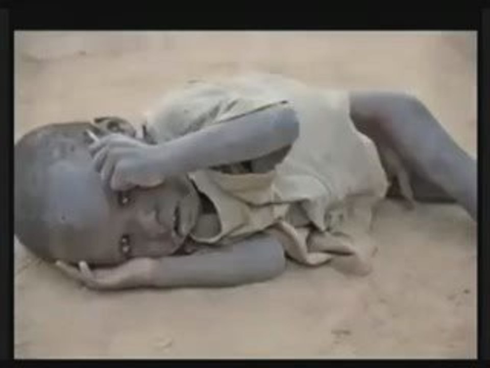 Al Peco Petit Nègre