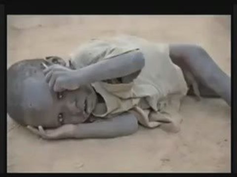 Al Peco Petit Nègre