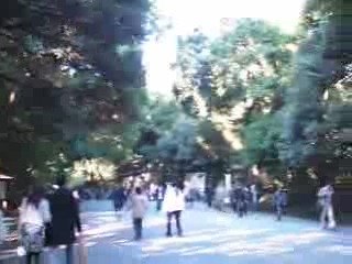 Meiji jingu 8