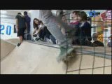 720 Adrenaline Skatepark Oksijen Programında