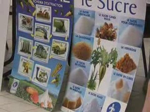 Le Cateau semaine du goût au collège