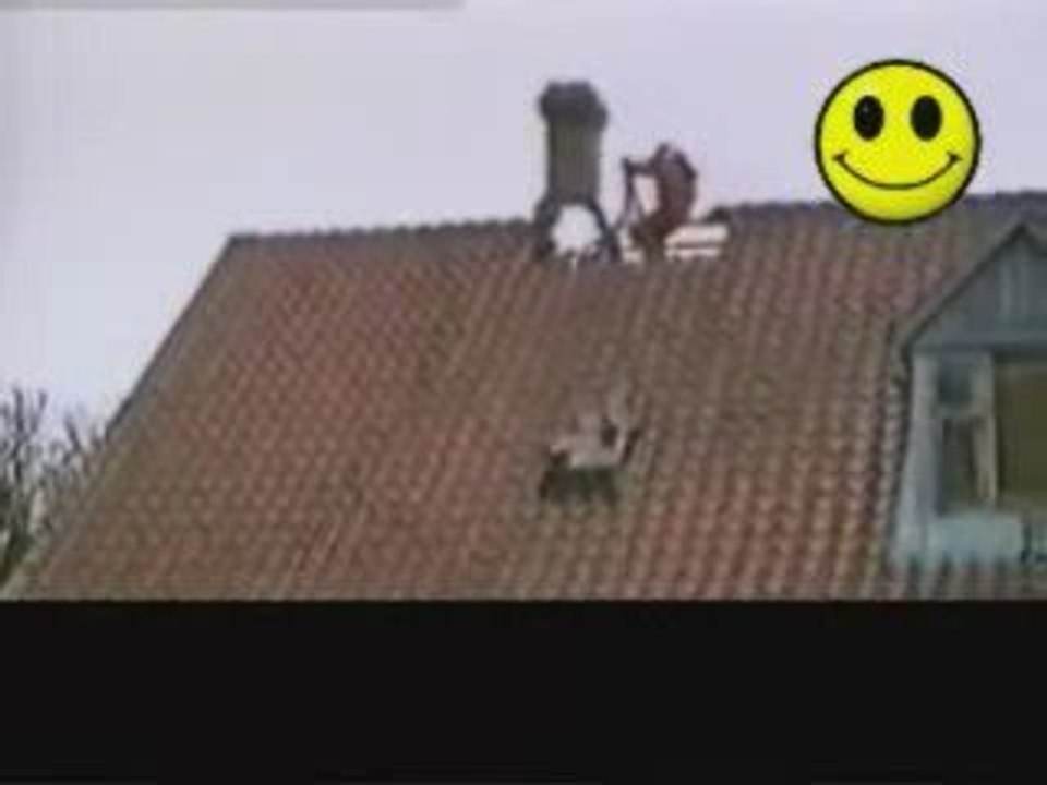 Les as du bricolage