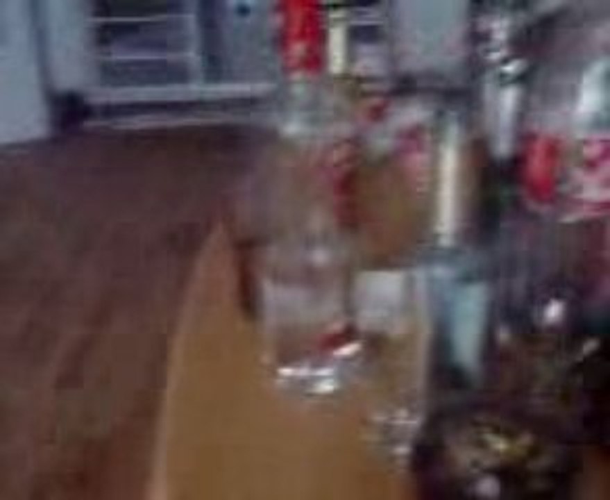 BoDiN на гулянкe (2) .