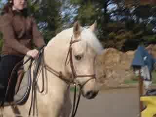 4 Nov 09 Entrainement pour le 15 Nov 09