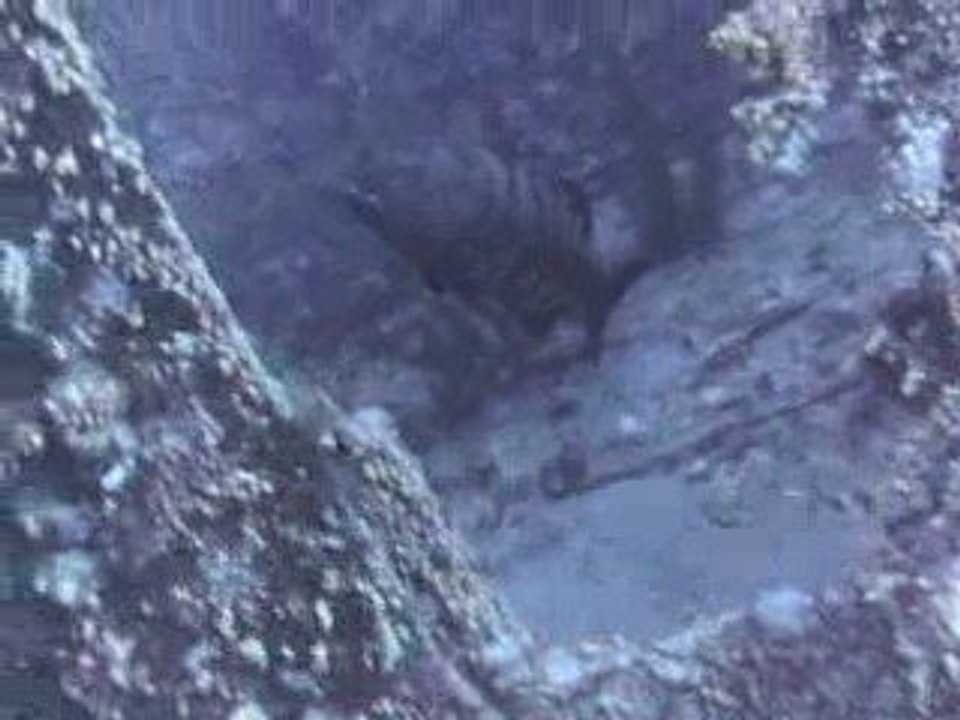 Egypte 2009  video 018