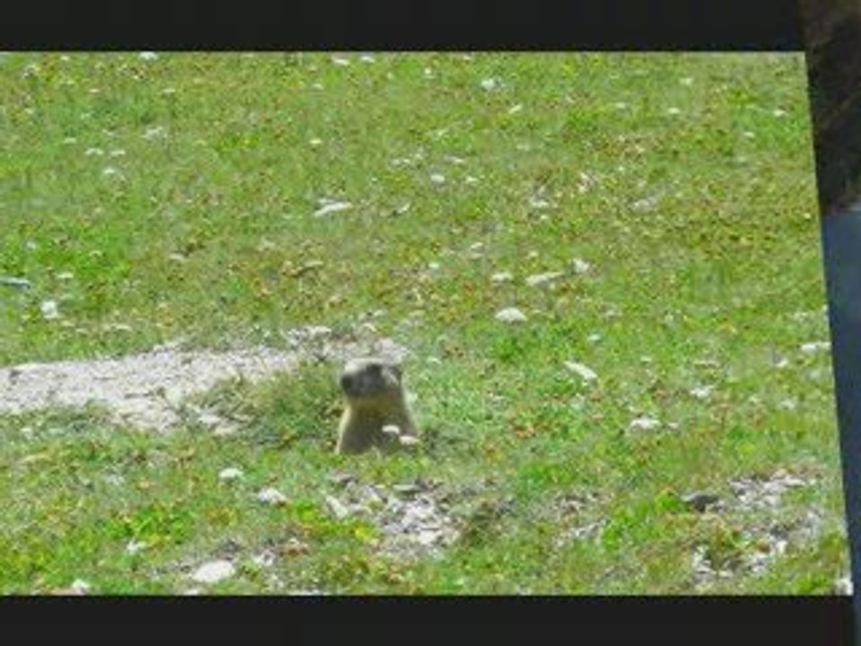 Location appartement aux 2 Alpes juillet & aout