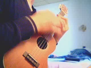 david sire le zoo ukulele