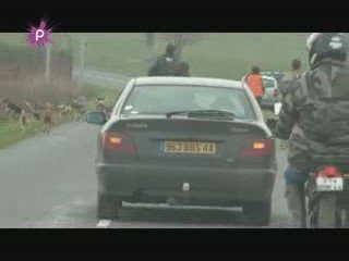 une chasse au lièvre