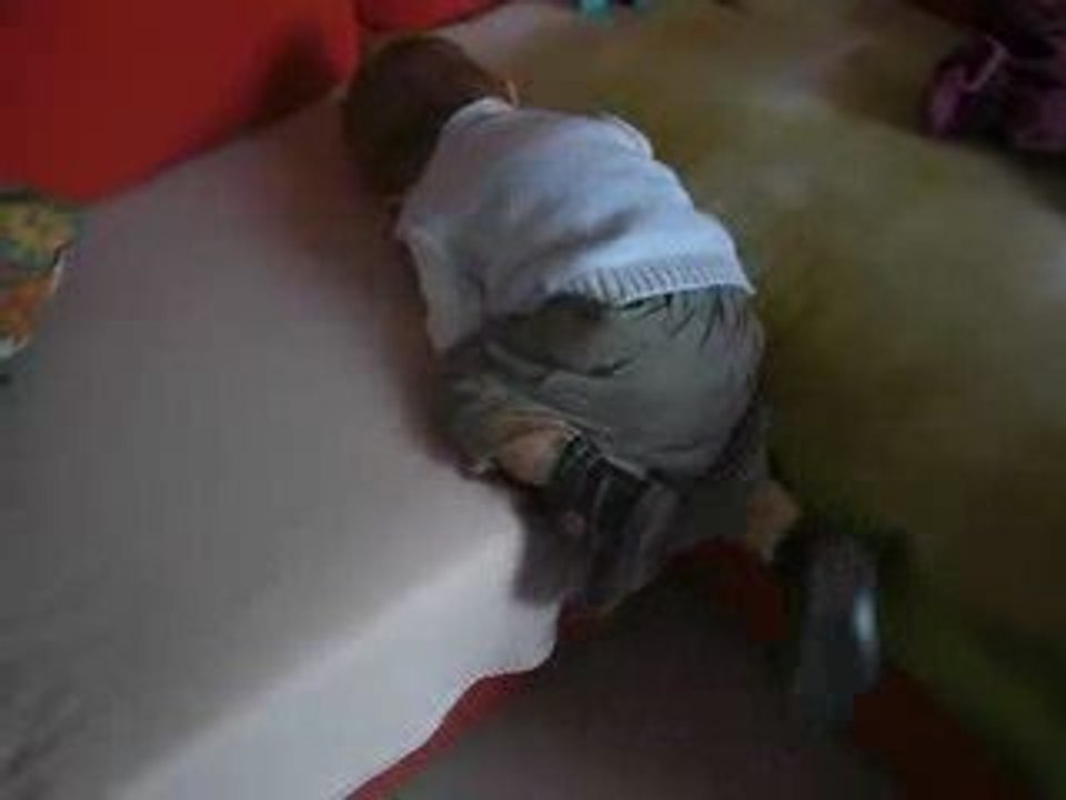 loulou monte sur le canapé