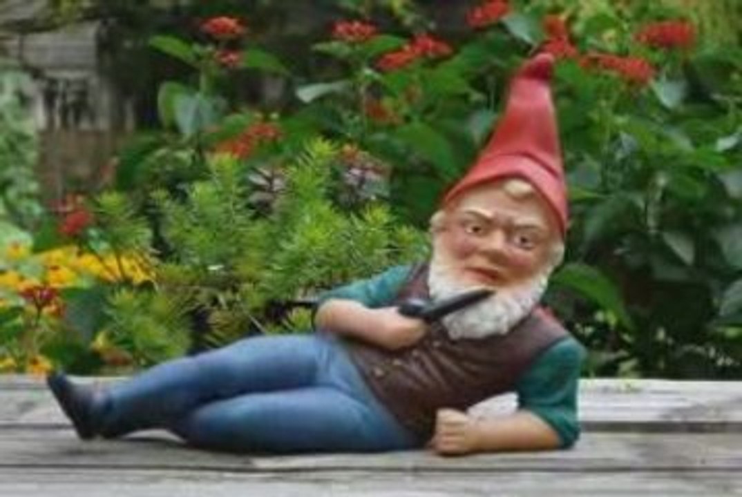 The Gnome Chronicles