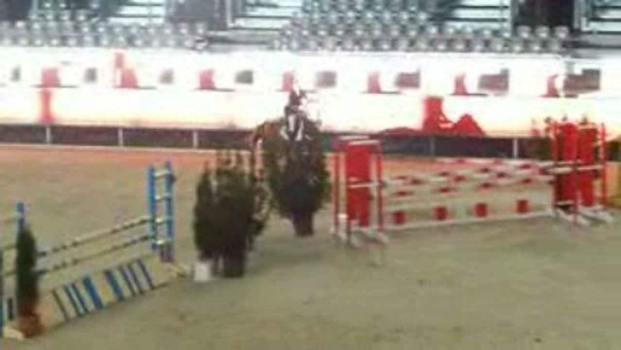 salon du cheval 2009 club1