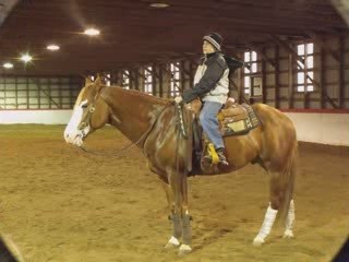 un super beau cheval