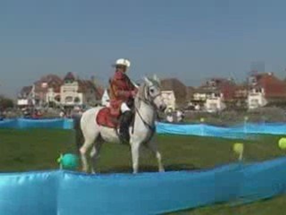 spectacle équestre western, voltige, dressage