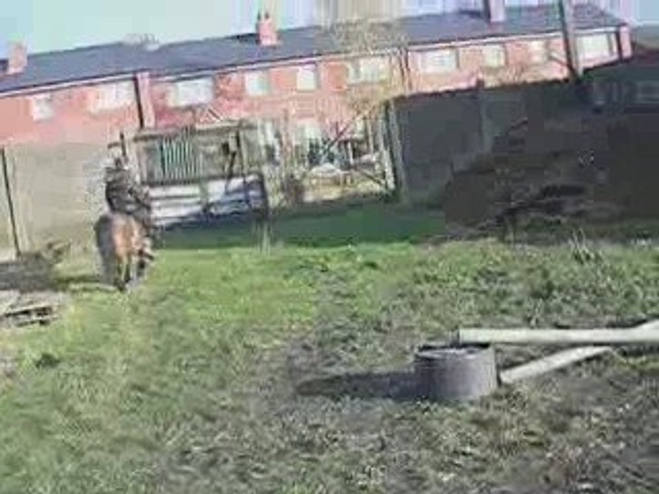 IMGP1611