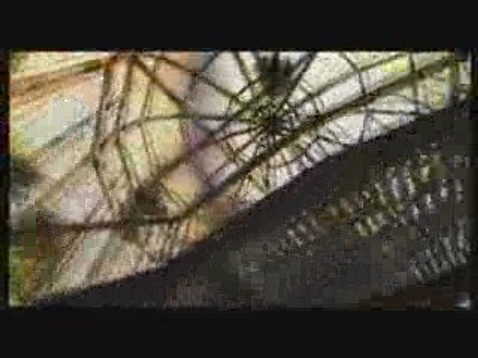 RE The Darkside Chronicles - Reliving Nightmare Trailer