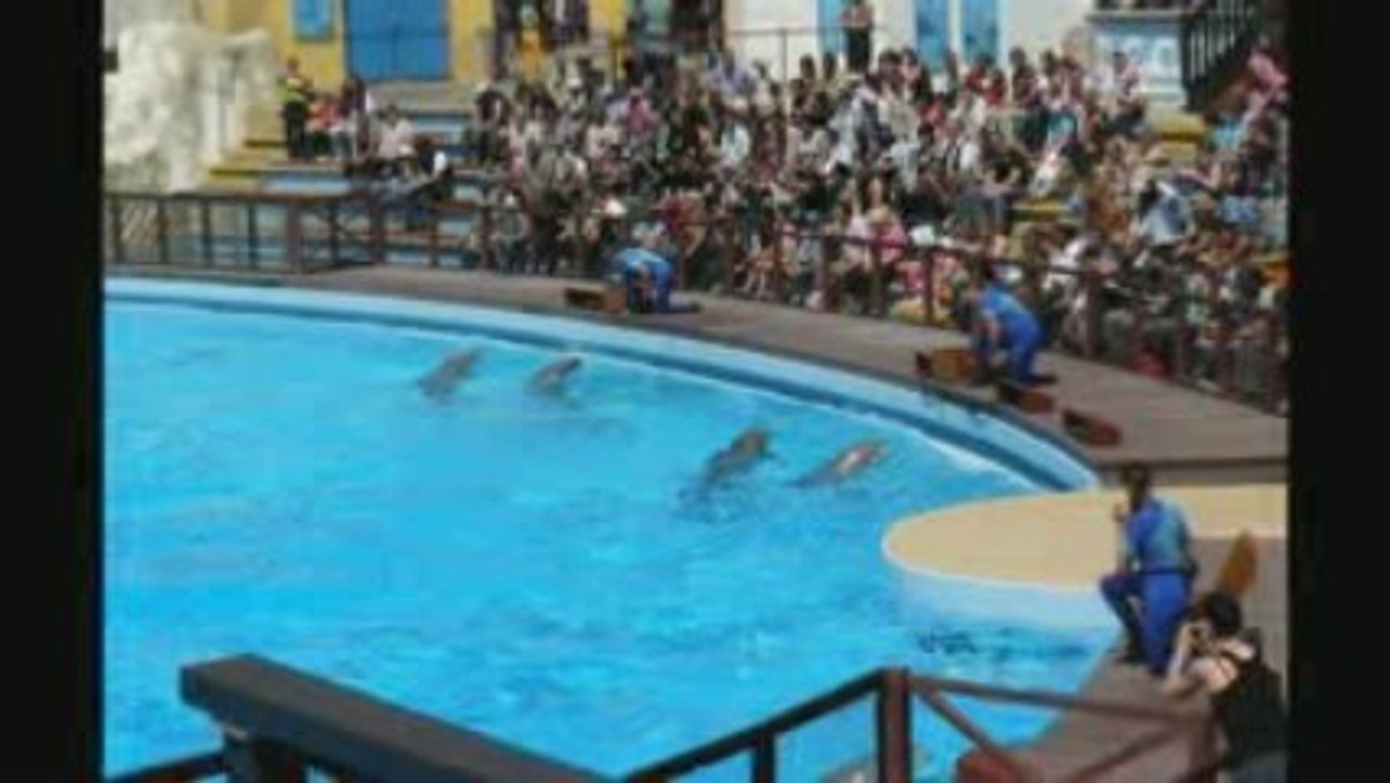 [Parc Asterix] Montage 2