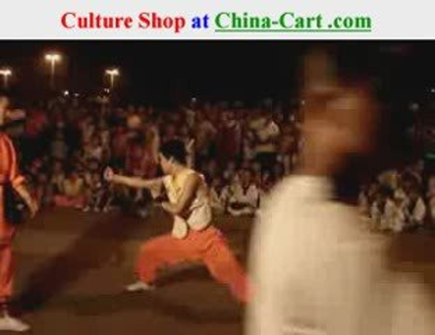⁣snake Kung Fu snake fist Snake Boxing Style she quan shequan