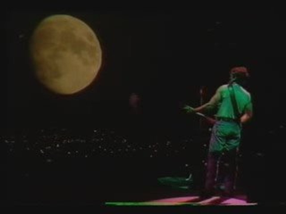 cant help falling in love - bruce springsteen