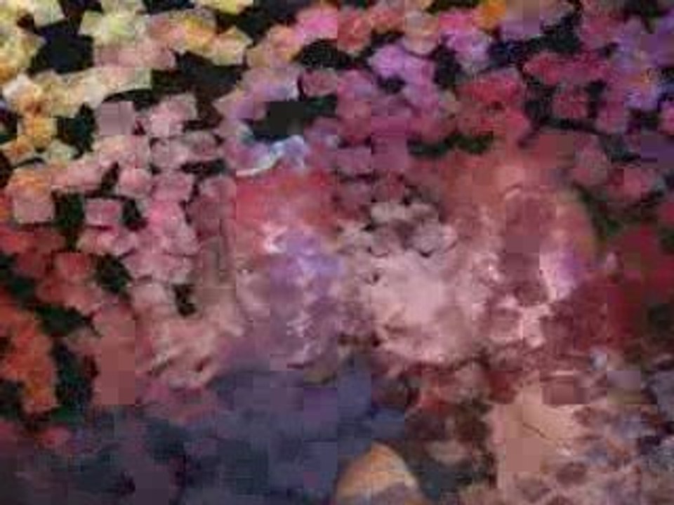 moi et and my friend novembre 2009