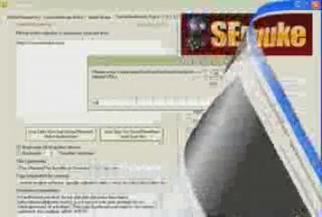 Search Engine Optimization (SEO)