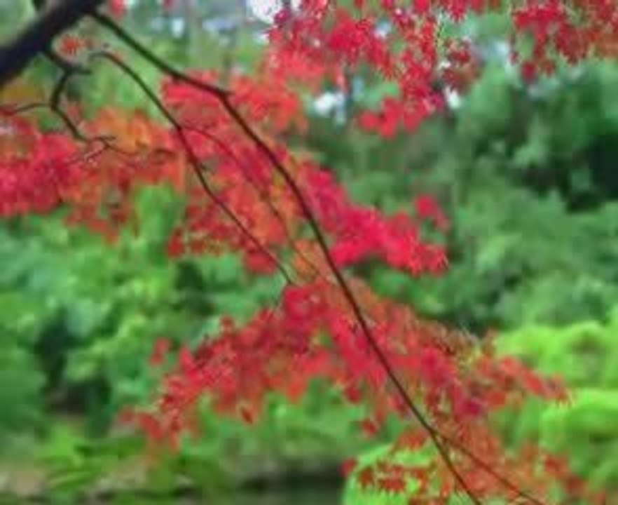 Can Yücel - Seninle Olmanin En Güzel Yani Ne Biliyor musun ?