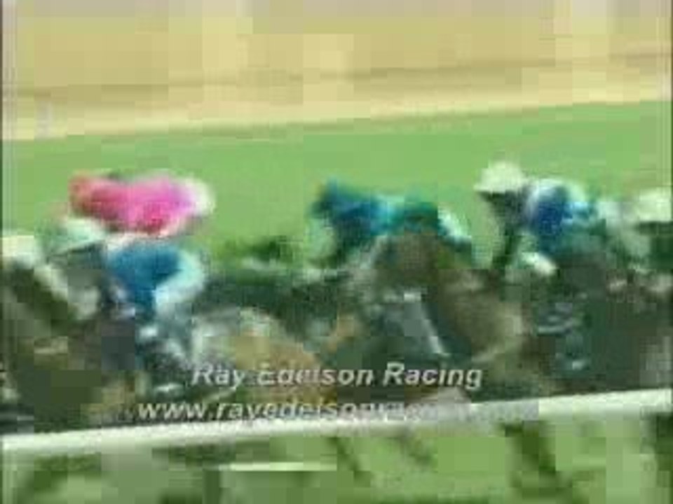 horse racing gambling betting