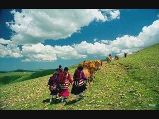 Ali Çinkaya Sise Gidelim