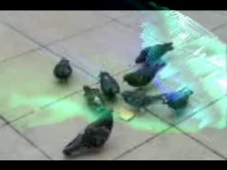 Bakobako roa-Doda et Cie...par Cludegeorges