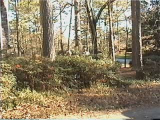 History of the New World (Part 1)