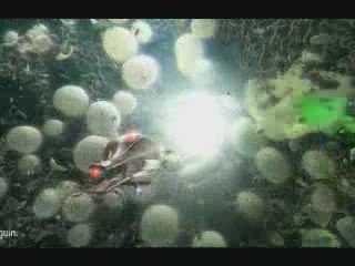 ProActiv Reduit Cholesterol