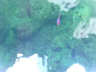 CALIFORNIA ACADEMY OF SCIENCES