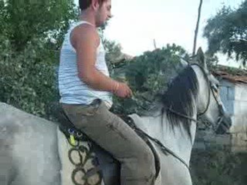 KAPADOKYA DA AT ÇİFLİKLERİNDEYİZ - AKHAL TEKE AT ÇİFLİĞİ (1)