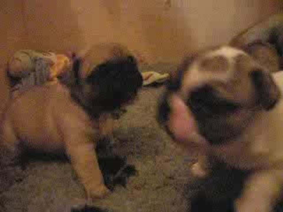 e'rose,eros et eliott 4 semaines