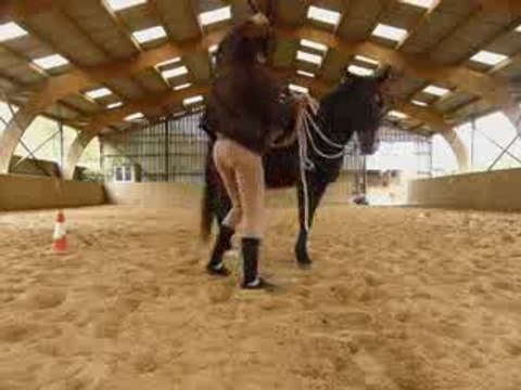 Travail à pied puis monté