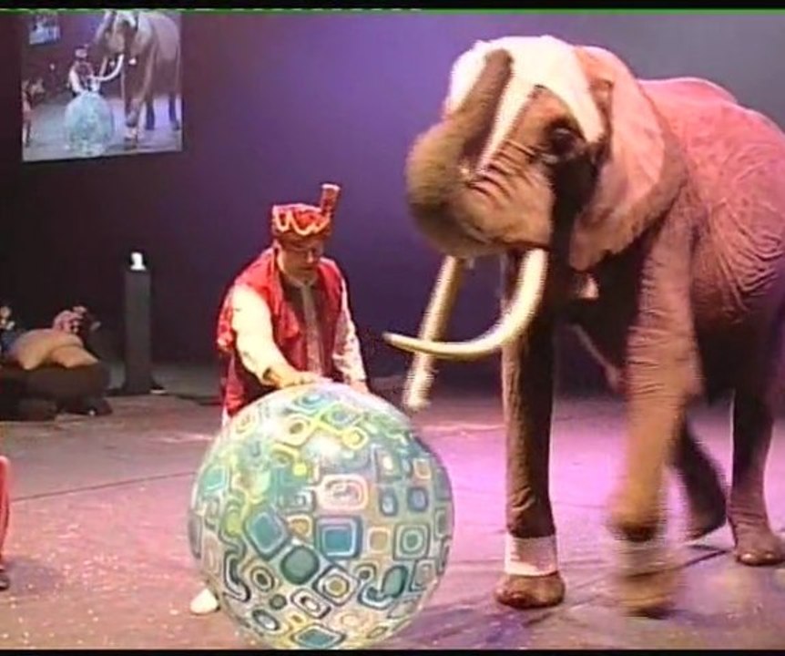 Clip Namayca