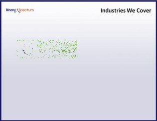 Binary Spectrum - Healthcare Software Solutions and ...