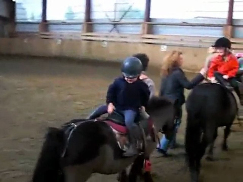 Mise en selle à poney