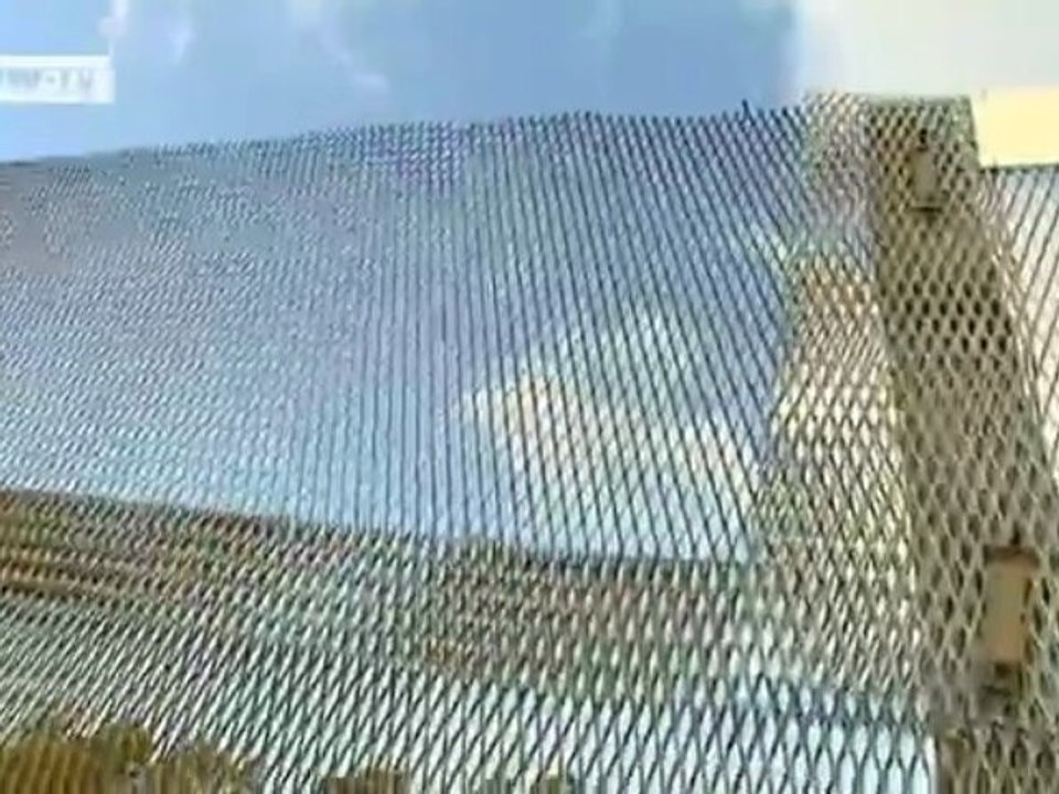 Victim and Border Guard | People & Politics