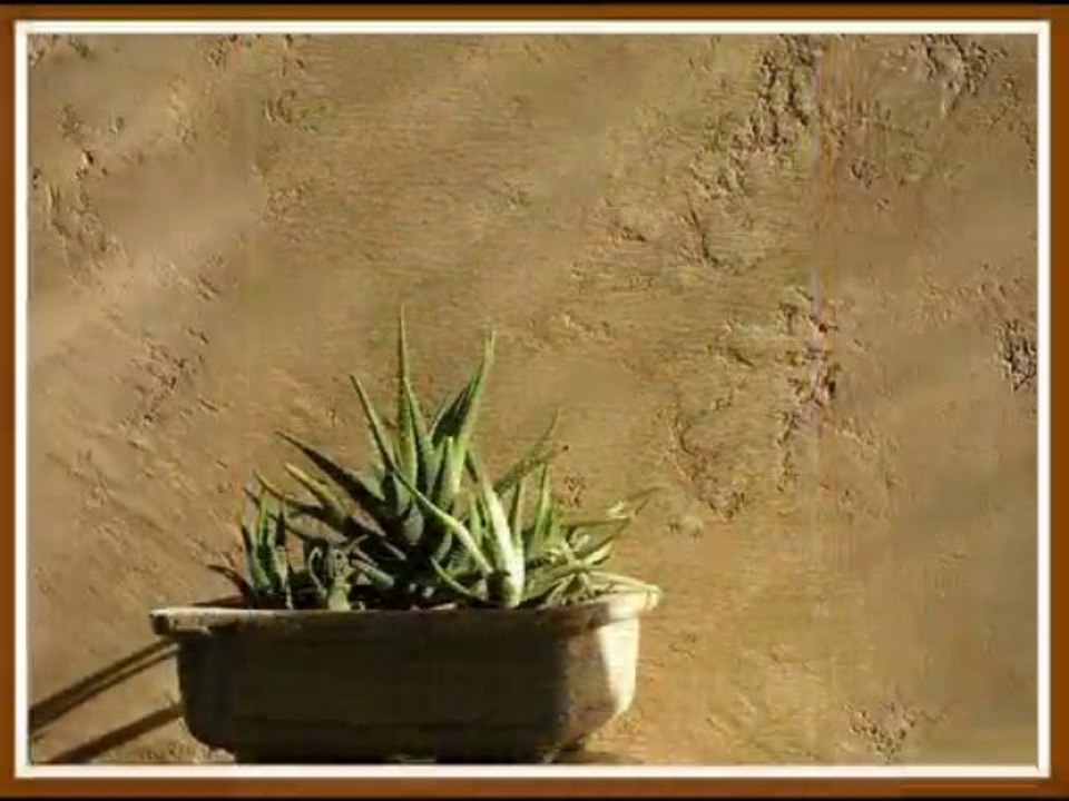 ВЕНЕЦИАНСКАЯ ШТУКАТУРКА мастер классы ДЕКОРАТИВНАЯ ФРЕСКА авторские курсы Киев    https://sites.google.com/site/artfrescodecor/  Artfresco&Decor™Киев - Творческая Мастерская Декора предлагает мастер - классы  по Декорированию и Нанесению Декоративной