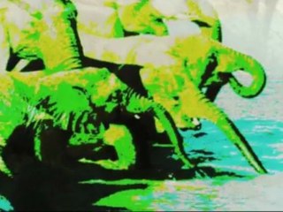 5- LA SENDA DE LOS ELEFANTES -  The footpath of the elephant