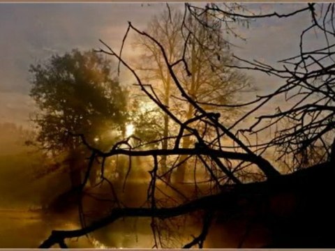 Декоративная Цифровая фреска Фото обои в Киеве studio Artfresco&Decor Мастер классы по Декорированию венецианской штукатурки ВЕНЕЦИАНСКАЯ ШТУКАТУРКА мастер классы ДЕКОРАТИВНАЯ ФРЕСКА авторские курсы Киев sites.google.com/site/artfrescodecor/