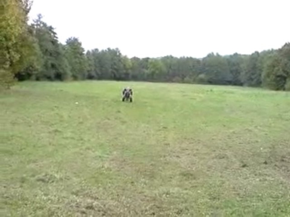 doudou quad roue