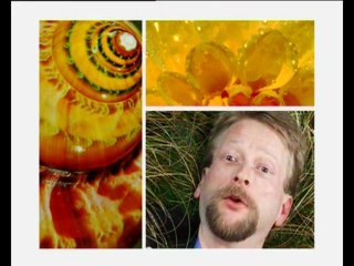 Cosmic Connexion : Interviews