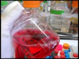 YouthJuice I Lost 7 Pounds in 9 days