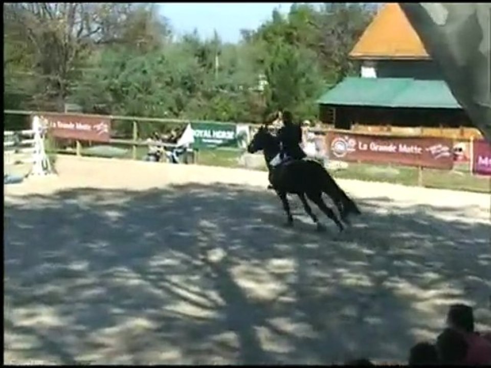 !! VENDU !! o'kann ménardière 4-10-09