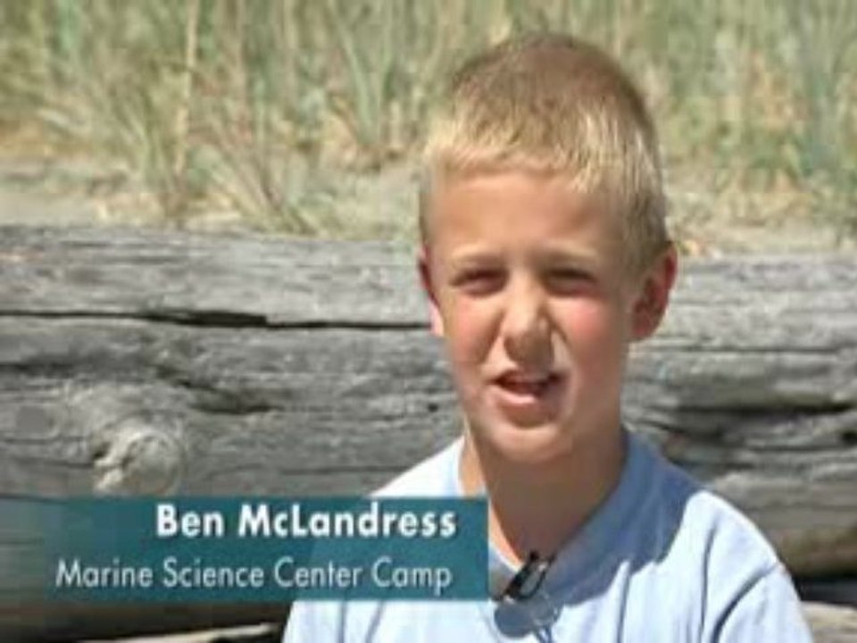 Puget Sound Matters: Kids